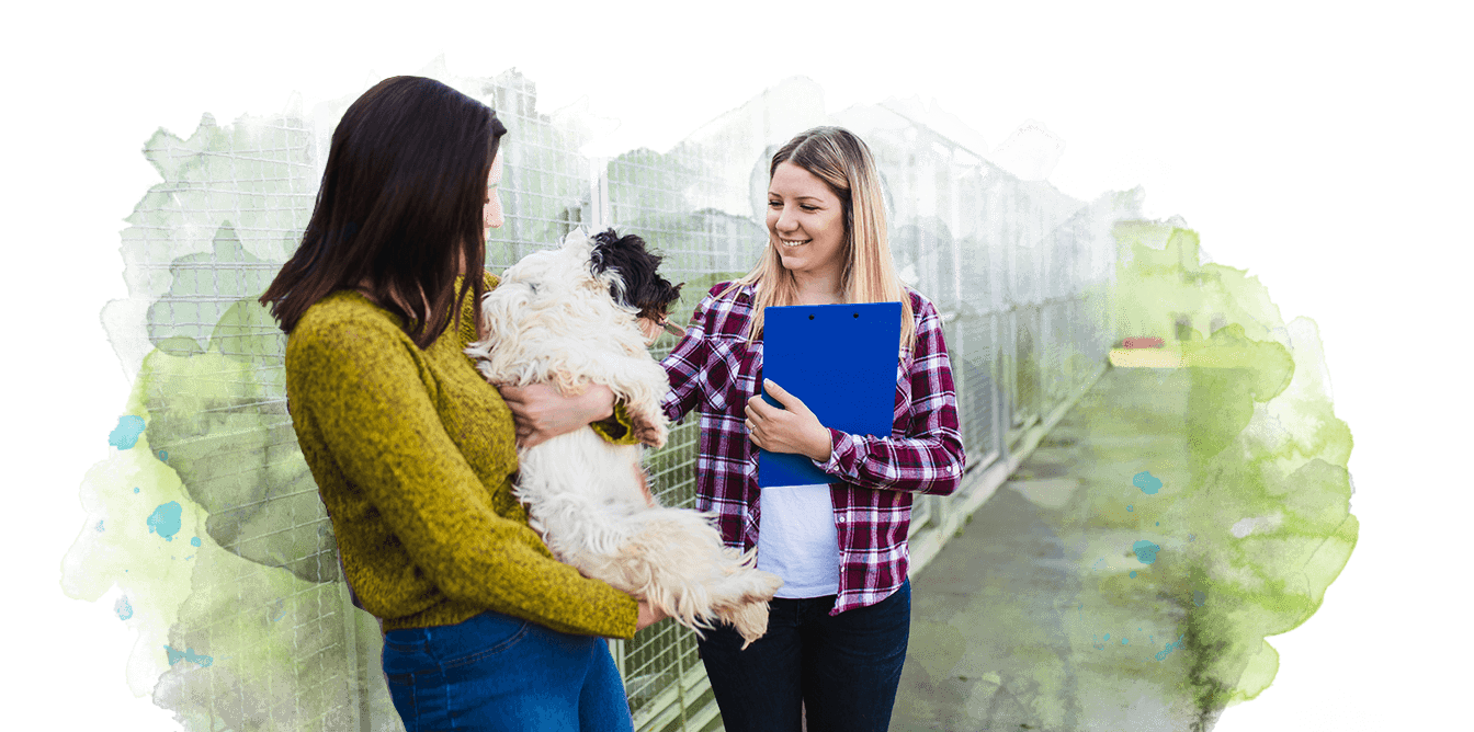 woman adopting dog from animal shelter